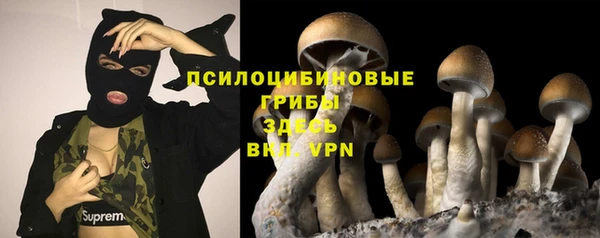 2c-b Нягань