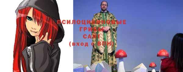 стаф Осинники