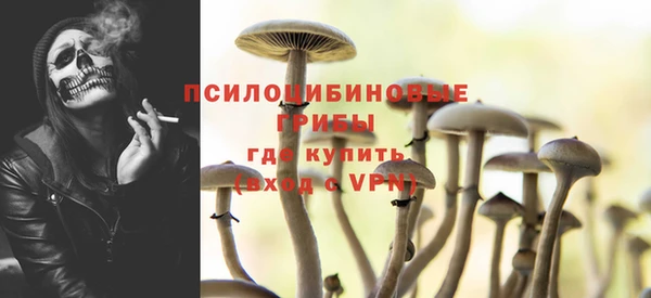 мескалин Няндома