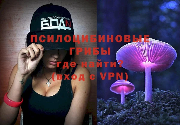 мескалин Няндома