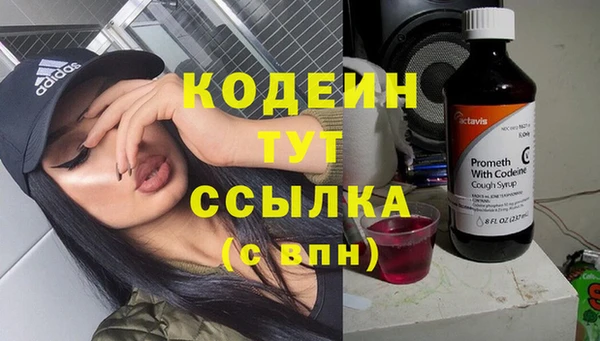 стаф Осинники