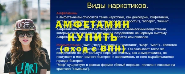 стаф Осинники